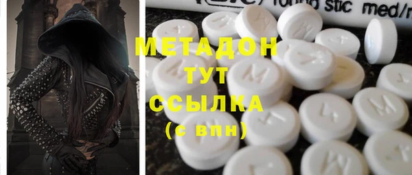 прущие грибы Абинск