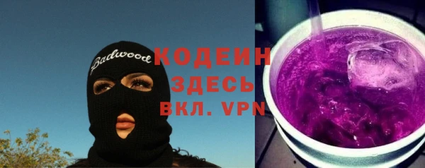 гашик Осинники