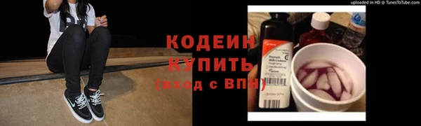 прущие грибы Абинск