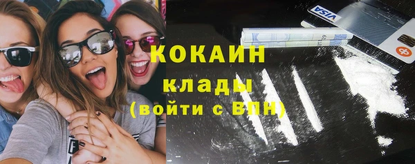 прущие грибы Абинск