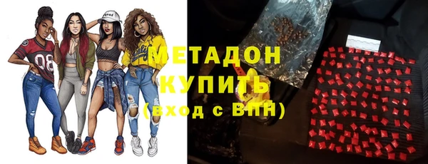 прущие грибы Абинск